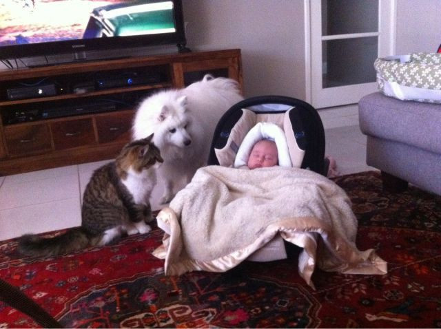 Haftanın en çok tıklanan kareleri - Resim: 3