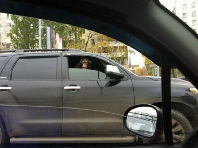 Bu görüntülere inanamayacaksınız! - Resim: 1