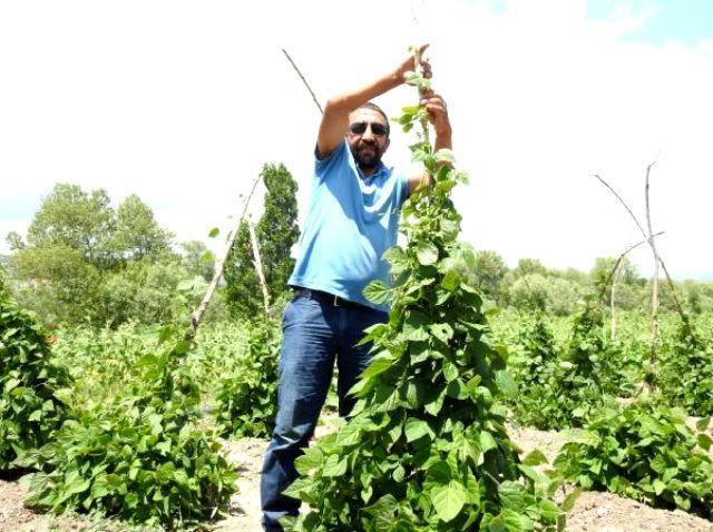 Piyangoyu kazanan çitçi bakın parayı nerede kullandı! - Resim: 2