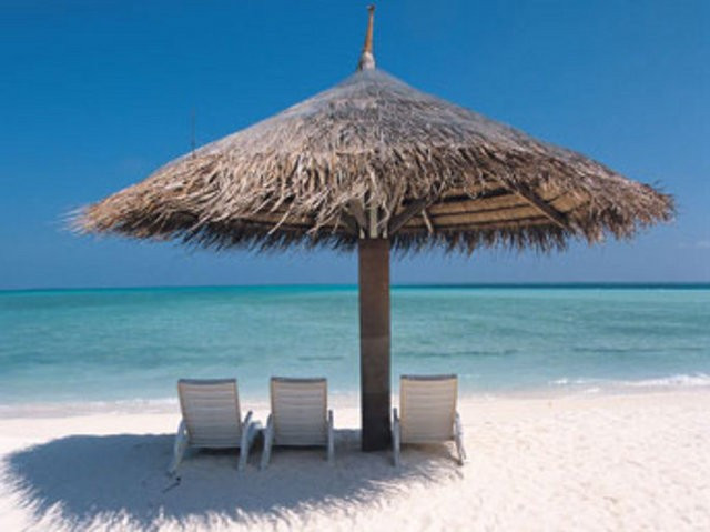 Hangi işten çok para kazanılır! İşte en karlı işler... - Resim: 3