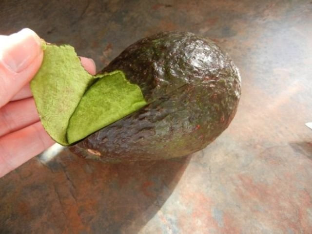 Muz kabuğuna şeker döküp vücudunuza sürün bakın neler olacak - Resim: 1