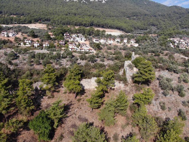 Muğla'da 2 ayda ortaya çıktı kenti heyecan sardı! Güvenlik önlemi alındı - Resim: 2