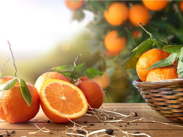 Çok hızlı kan yapan yiyecekler! Demir eksikliğinin 14 belirtisi var - Resim: 2