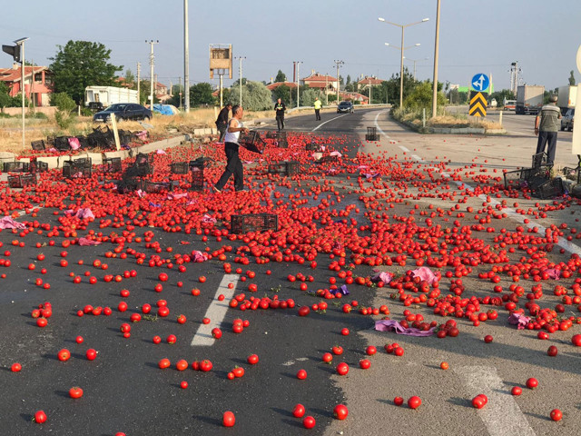 Kontrolden çıkan tırdan dökülen domatesler karayolunu tarlaya çevirdi - Resim: 1