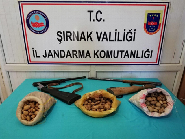 Şırnak'ta salep soğanı toplayan 3 kişiye 204 bin para cezası - Resim: 0