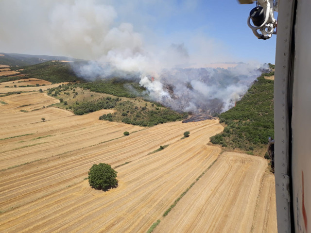Gelibolu'da orman yangını! Kontrol altına alındı - Resim: 0