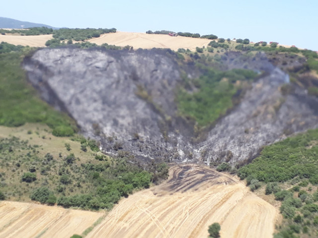 Gelibolu'da orman yangını! Kontrol altına alındı - Resim: 1