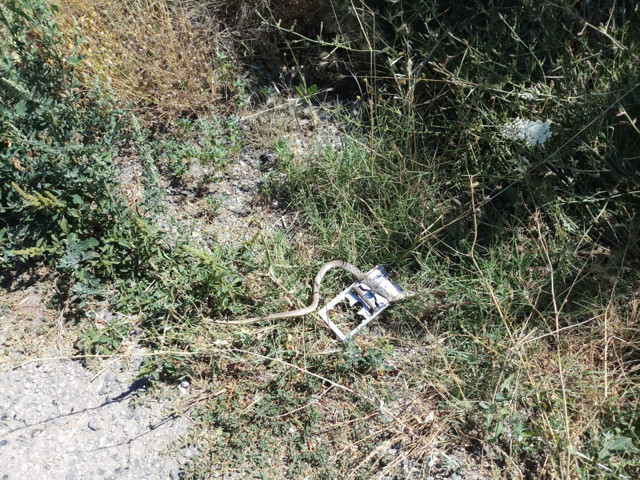 Konya'da Suriyeli koca yılanı vurmak isterken kazara hamile eşini vurdu - Resim: 0