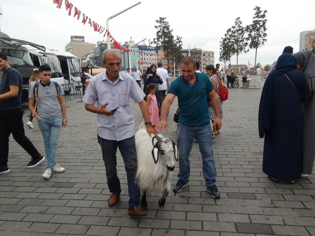 Keçisiyle beraber tam 60 şehir dolaştı! Son durağı Taksim oldu - Resim: 0