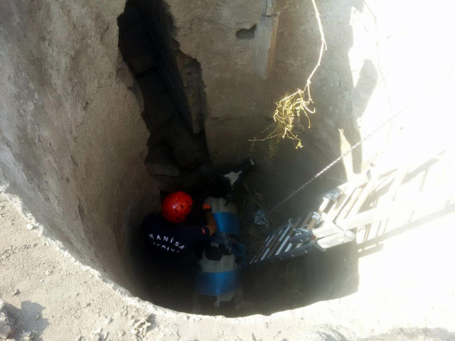Manisa'da boş kuyuya düşen danayı itfaiye kurtardı - Resim: 0