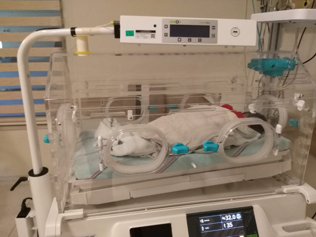 Evlilik dışı bebeğini doğurup çöpe attı köpekler etrafında toplandı - Resim: 0