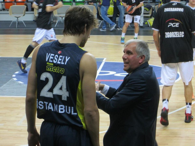 vesely
