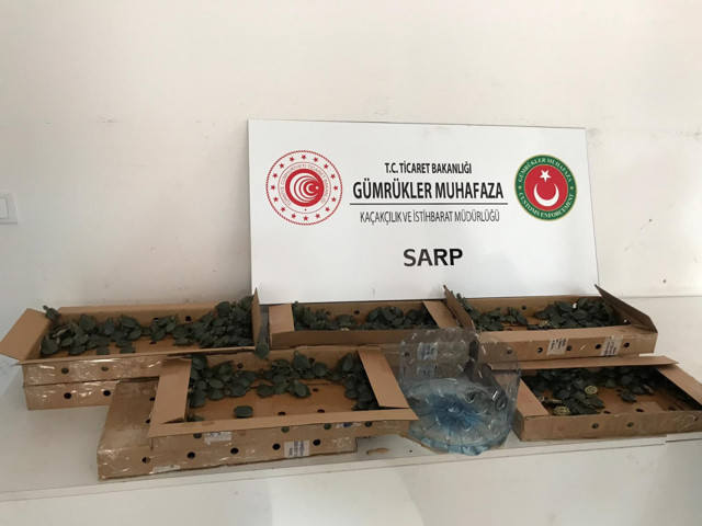 Artvin'deki Sarp Sınır Kapısı'nda pizza kutusundan çıkanlar şaşkına çevirdi! - Resim: 0