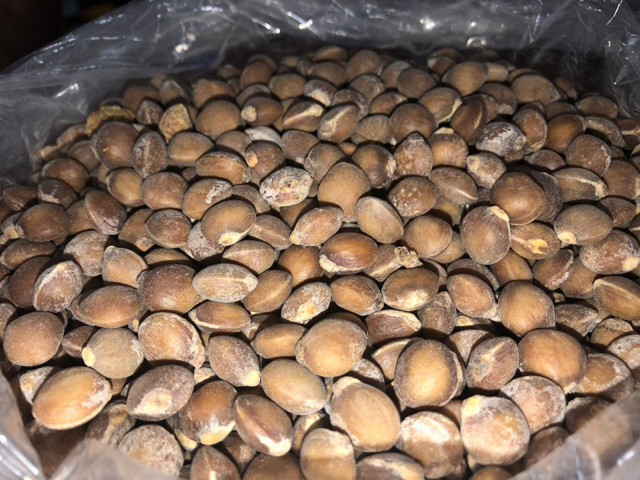 Siirt bıttımı altın fiyatını geçti! İç piyasada 150 lira dış piyasada 200 lira - Resim: 3