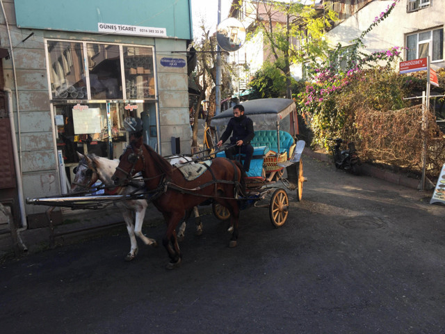 Ruam hastalığı nedir insanlara nasıl bulaşıyor? Belirtileri gribe benziyor - Resim: 0