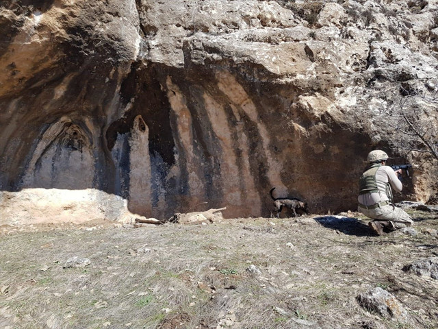 Siirt'te, Kapan-7 Garisa Operasyonu başlatıldı - Resim: 1