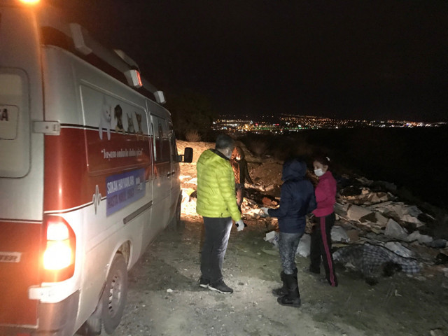 Ankara'da çuvalların içinde ölü köpekler bulundu - Resim: 0