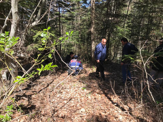 Sinop'ta küçük ibrahim'i arama çalışmaları sürüyor kemik parçaları bulundu - Resim: 1