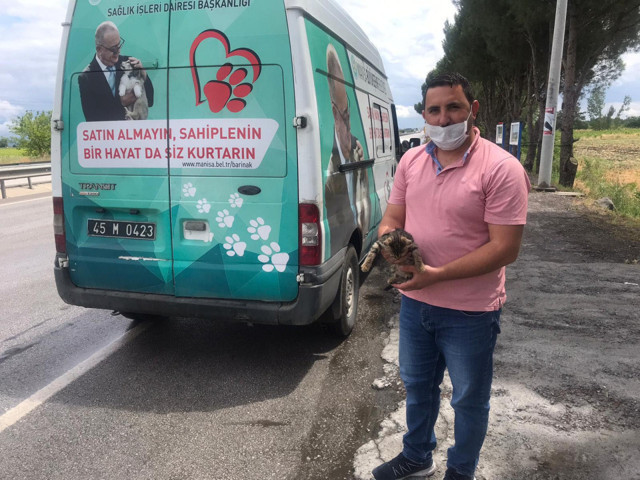 Motor kaputunda 70 km giden kediyi jandarma fark etti - Resim: 0