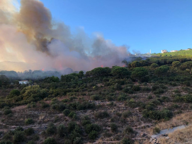 İstanbul Maltepe'de ormanlık alanda korkutan yangın! İşte ilk görüntüler - Resim: 2
