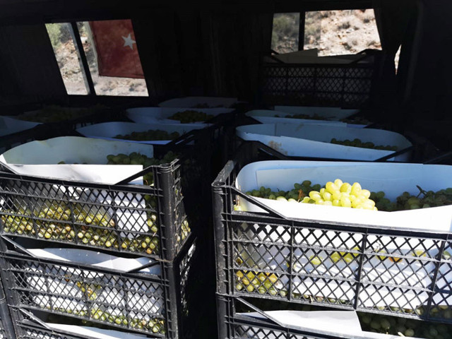 'Elmacı Dede'den 'Oruç Reis' personeline bir minibüs dolusu üzüm - Resim: 0