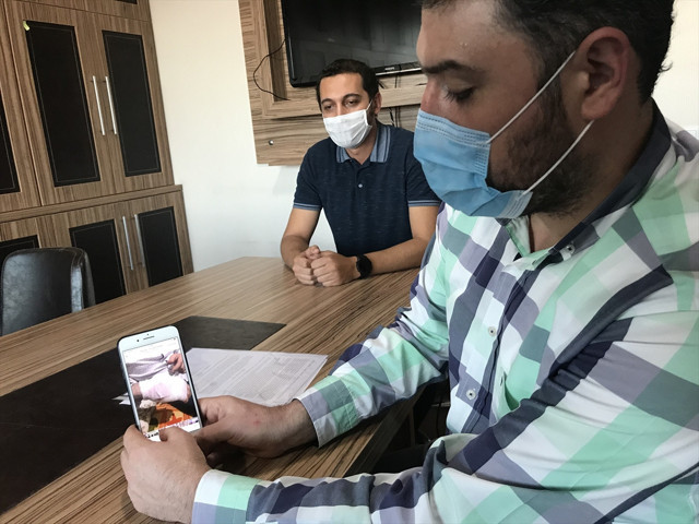 Sokak köpeklerinin ısırdığı adama belediye 3 bin lira tazminat ödeyecek - Resim: 0