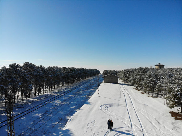 Kars’ta bozkırın ortasındaki vaha havadan görüntülendi - Resim: 0