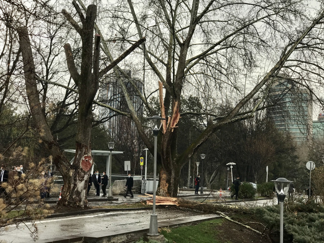 TBMM bahçesine yıldırım düştü! Herkes panik oldu - Resim: 3