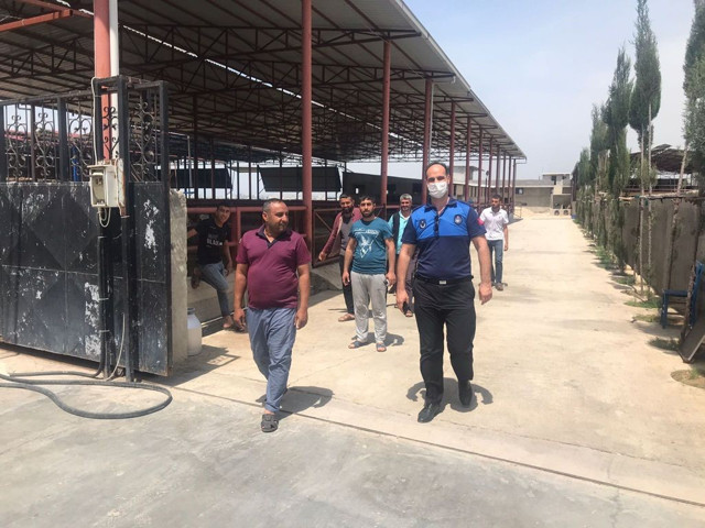 Hatay'da kaybolan 99 atla ilgili Adana'da bir ahırda arama yapıldı - Resim: 0