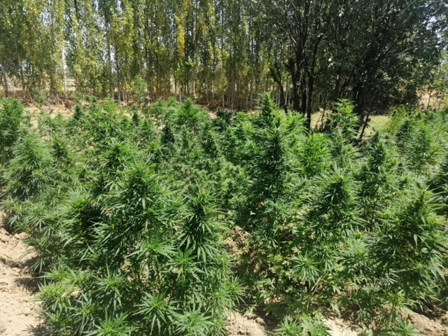 PKK'nın finans kaynağına neşter vuracak ''Narko-Terör- Finans-2 Operasyonu'' başlatıldı - Resim: 1