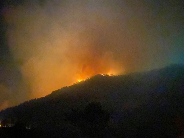 Manavgat, Bodrum, Marmaris ve Adana orman yangınlarında son durum - Resim: 3