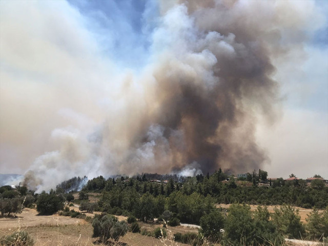 Ciğerlerimiz yanıyor! Antalya, Adana, Muğla, Hatay yangınlarından son haberler - Resim: 3