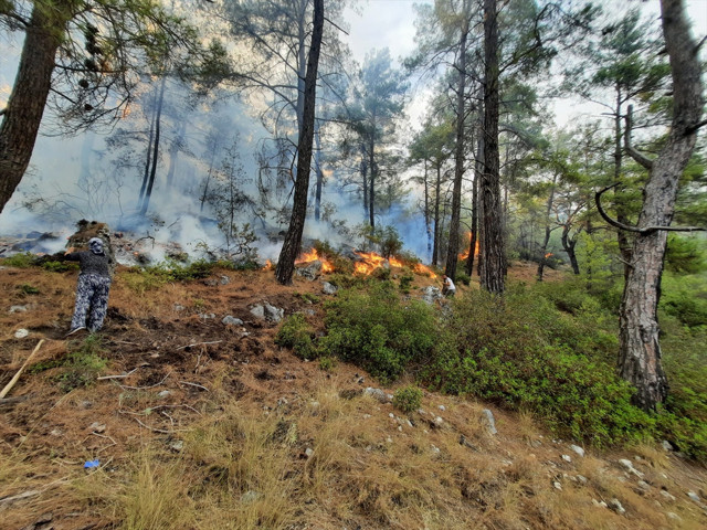 Can kaybı artıyor! Ülke genelindeki yangınlarda son durum - Resim: 4