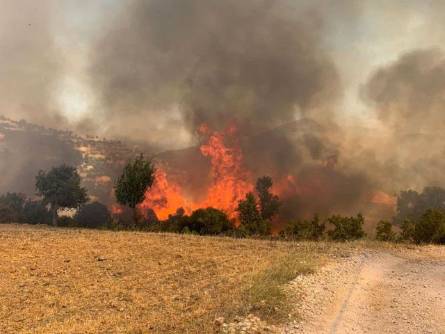 Manavgat, Köyceğiz, Çökertme orman yangınlarında son durum haberler kötü - Resim: 2