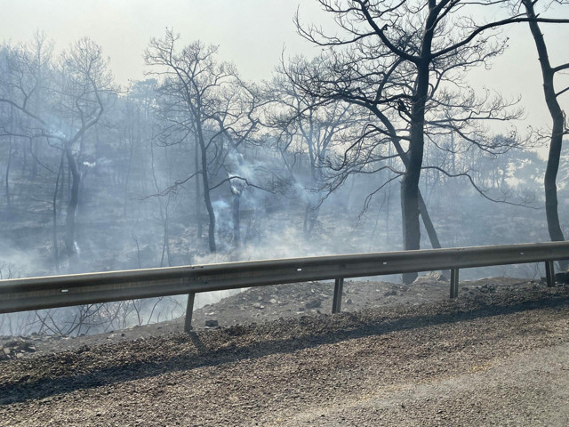 Milas ve Köyceğiz'deki yangınlar hala devam ediyor Seydikemer'de yenisi başladı işte son durum! - Resim: 0