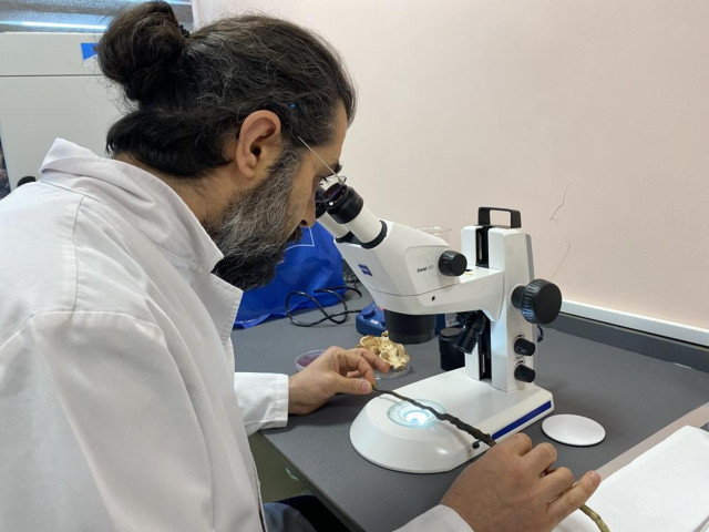 Bor’un insan sağlığına inanılmaz faydası keşfedildi - Resim: 1