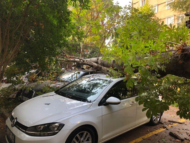 Kadıköy'de site sakinleri büyük bir gürültüyle uyandılar 4 araç kullanılamaz hale geldi - Resim: 0