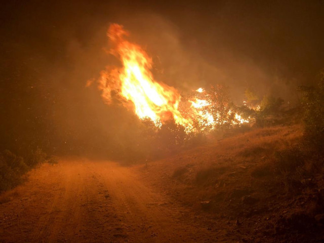 Manisa'nın Kula ilçesinde orman yangını - Resim: 1