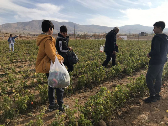 Marketlerdeki fiyata kızdı 20 dönümlük sebze tarlasını vatandaşlara ücretsiz açtı - Resim: 0