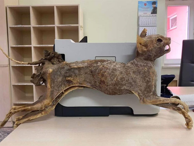 Çorum'da cami tadilatında 80 yıllık ceset bulundu görüntüler şaşırttı beden bütünlüğü bozulmamış - Resim: 1