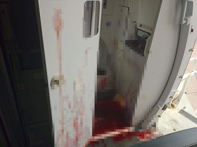 Uçakta intihar girişim! Pilot acil iniş yapmak zorunda kaldı - Resim: 1