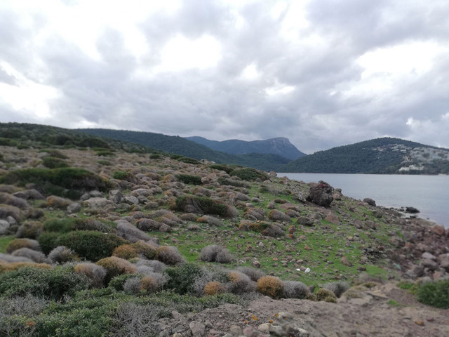 Bodrum Cennet Koyu iddiaları! Cengiz İnşaat villa ve otel dikiyor imarımız var diyorlar - Resim: 1