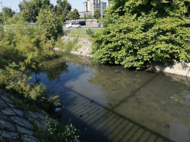 Pendik'te İSKİ'ye 'kötü koku' isyanı: Haliç neyse burası da aynı koku - Resim: 0