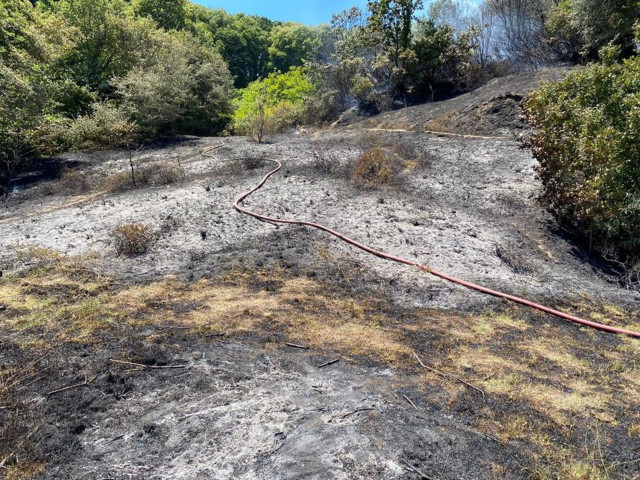 Beykoz'daki orman yangınının nedeni belli oldu! 5 bin metrekarelik alan küle döndü - Resim: 0