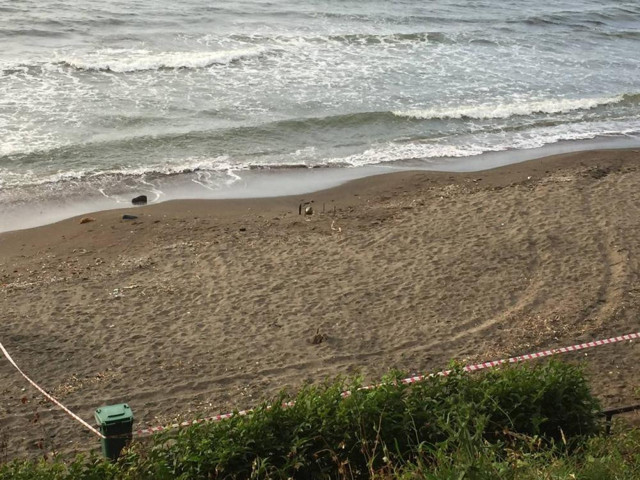 Ordu sahilinde Rus yapımı mayın tetikleyicisi imha edildi - Resim: 0