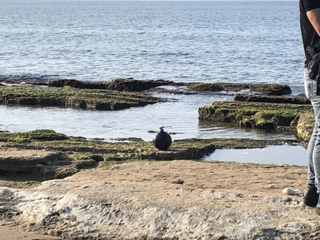 Dün Ordu bugün Sinop! Karadeniz'de Rus paniği devam ediyor: Füze ekipmanı çıktı - Resim: 0