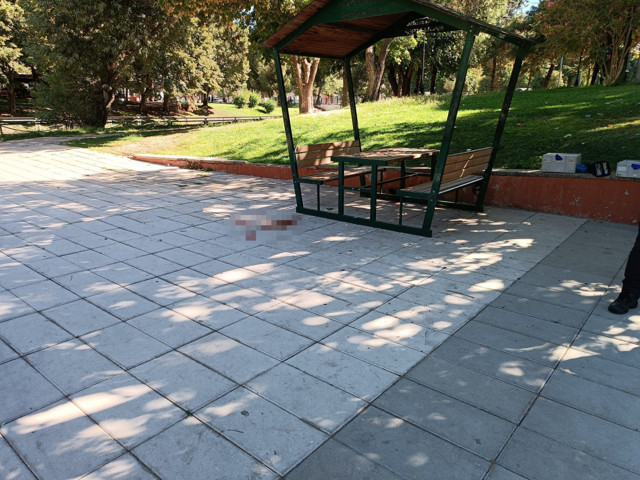 Uzman çavuşun şüpheli ölümü! Parkta feci halde bulundu - Resim: 1