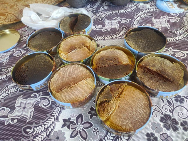 Kilosunu bin 500 liradan satıyor! İnsan eli değmiyor... Birçok hastalığa şifa - Resim: 1