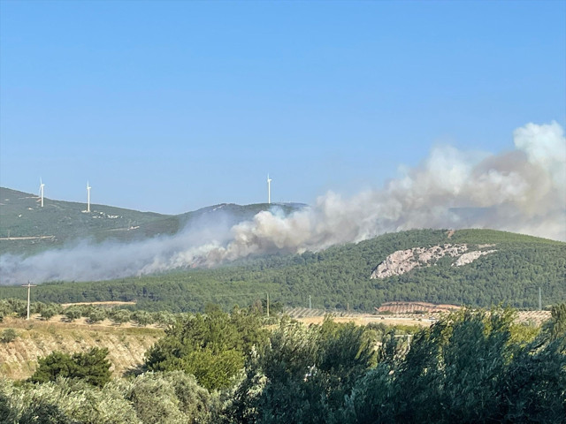 Manisa'da 2 mahallenin boşaltıldığı orman yangını kontrol altına alındı - Resim: 5