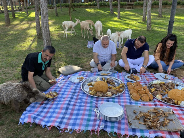 Çekmeköy'de görenleri şaşkına çeviren görüntüler! Aslan ve ayıya şark sofrası kurdular - Resim: 0
